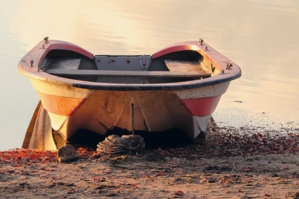 Stockbrokers Dilemma: AI Vs. Human Intuition