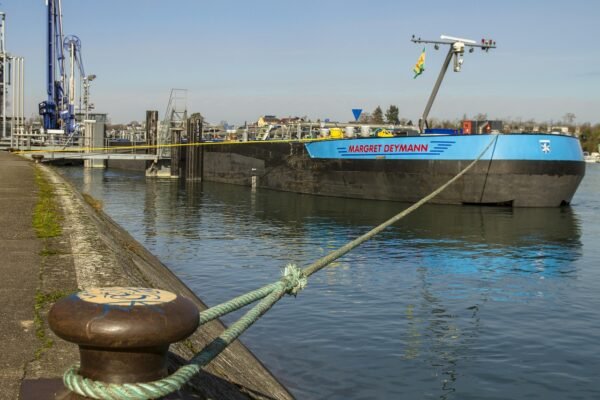 Decoding Customer DNA: Unlocking Market Research Insights