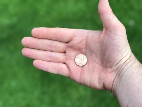 Beyond Beans: Crafting A Joyful, Values-Based Budget