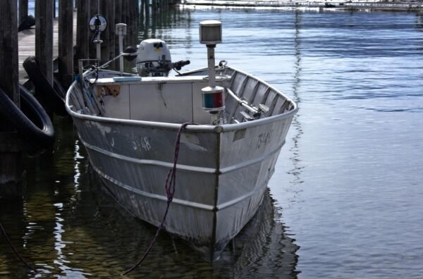 Decoding Stock Market Sentiment: AIs Predictive Edge