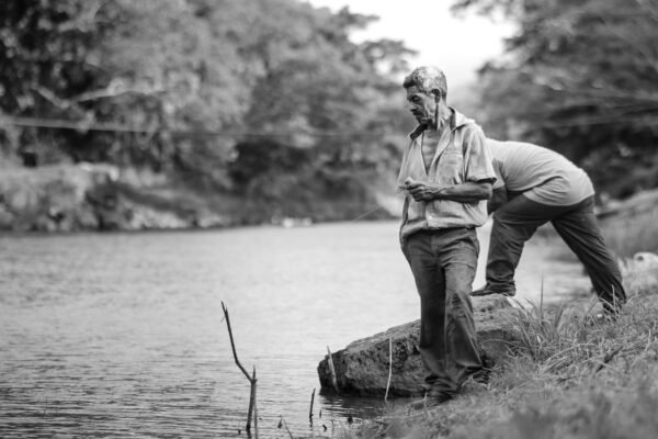 Retirement Funds: Beyond Stocks, The Untapped Alternatives