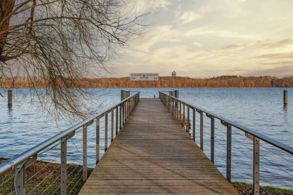 Beyond Buyouts: Private Equitys Role In Operational Transformation