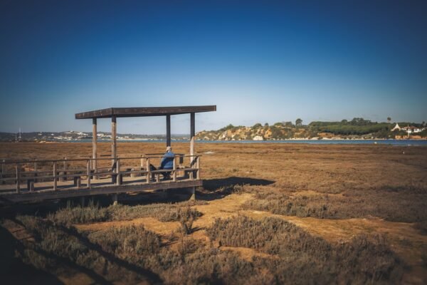 Navigating The Maze: Contribution Limits, Strategies, And Impact