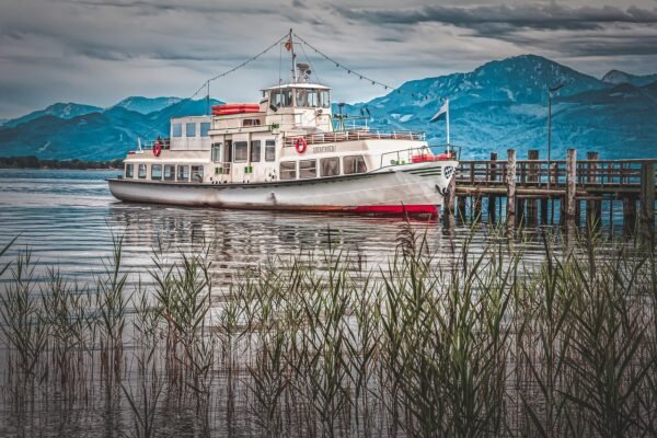 Decoding Demand: Market Researchs Untapped Potential