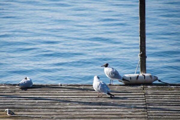 Beyond Tech: Finding Growth Stocks In Unexpected Sectors